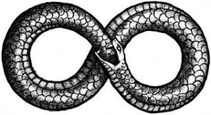 8-snake